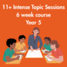 Year 5 11+ Intense Topic Sessions 6 week course: starting Saturday 7th November 2026: 2:30pm-4:30pm